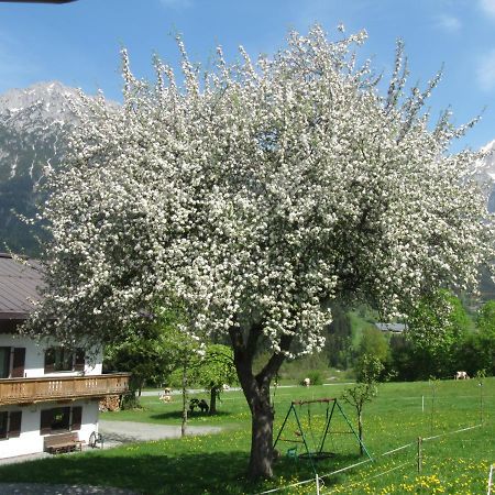 瑟尔Bauernhof Neu-Endfelden, Guenter Widauer别墅 外观 照片
