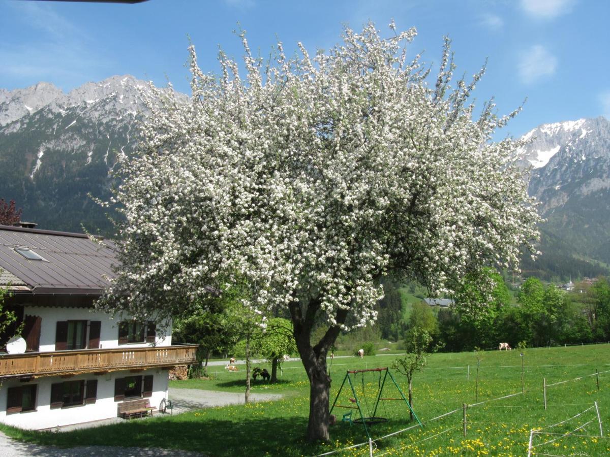 瑟尔Bauernhof Neu-Endfelden, Guenter Widauer别墅 外观 照片